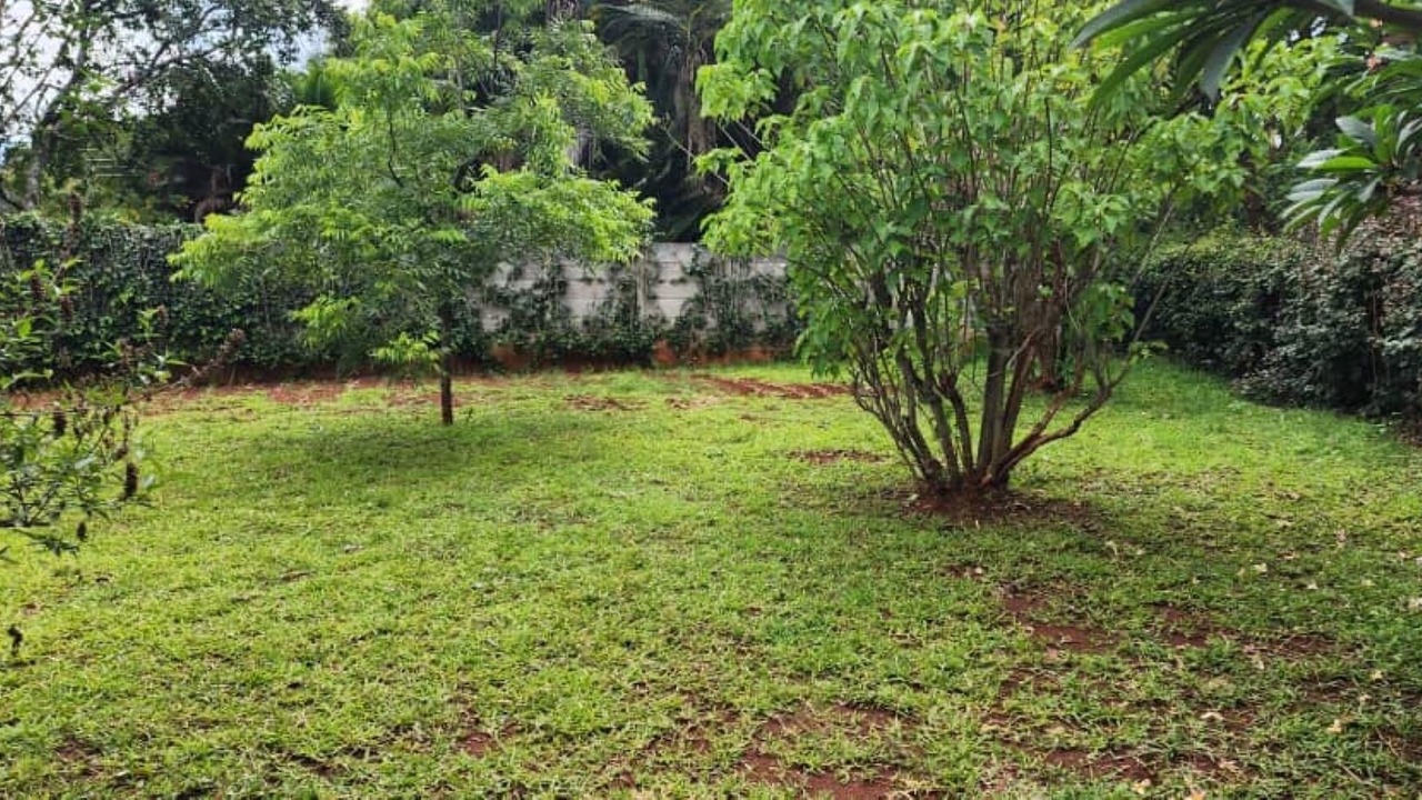 Photo of Outdoor in Harare