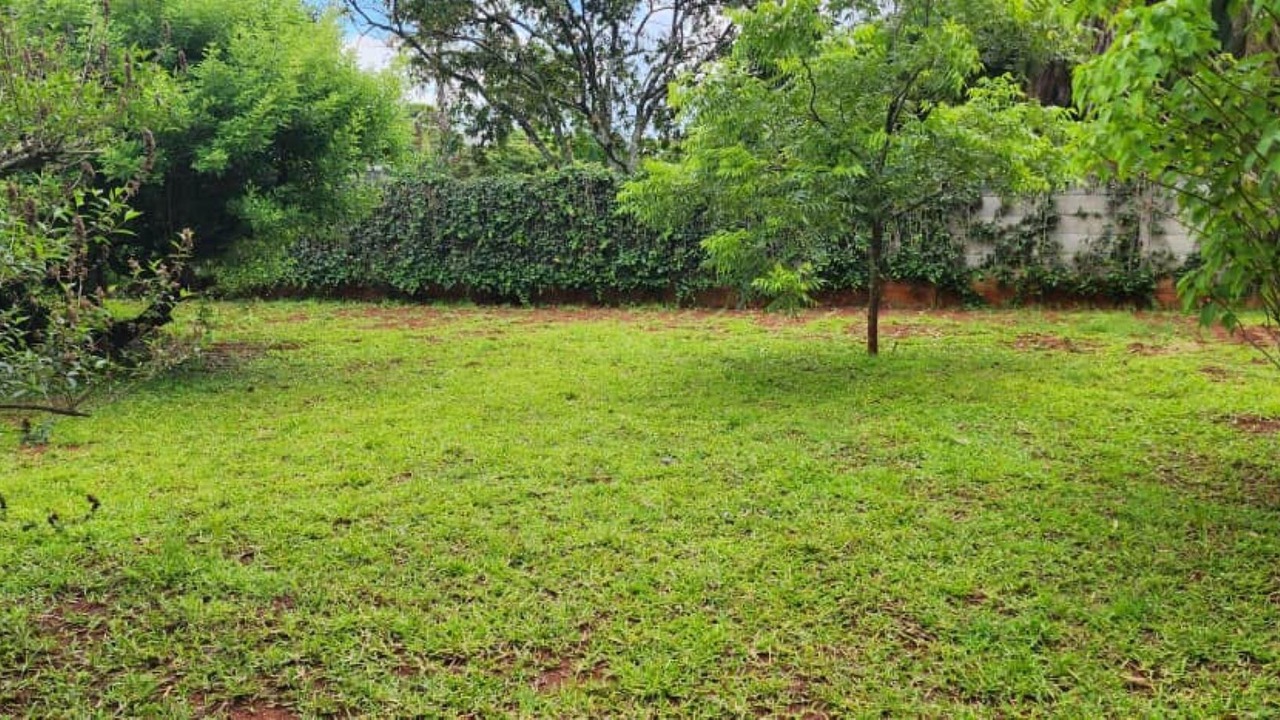 Photo of Outdoor in Harare