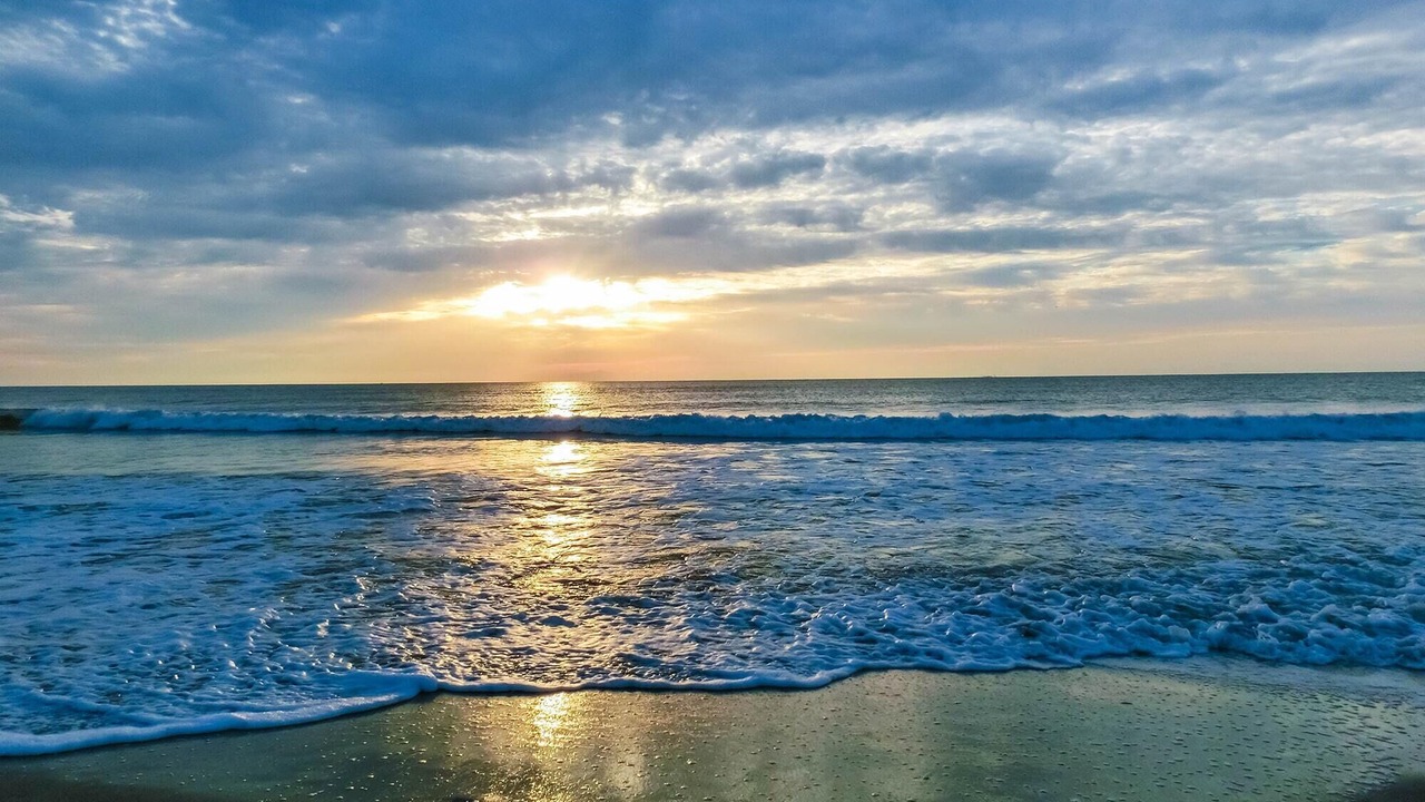 Photo of Others in Cape Caneveral Beach Gardens