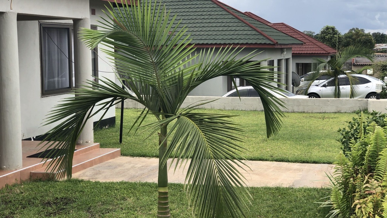 Photo of Outdoor in Ndola
