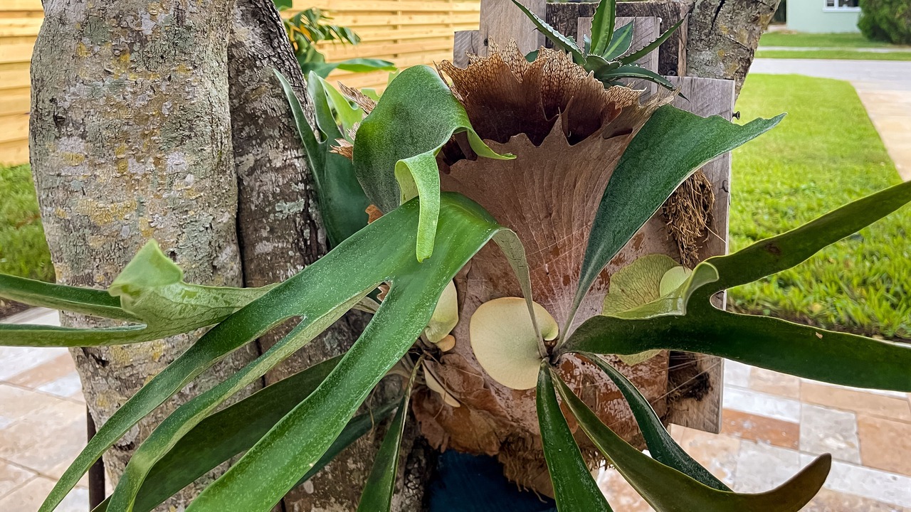 Photo of Outdoor in Alta Vista
