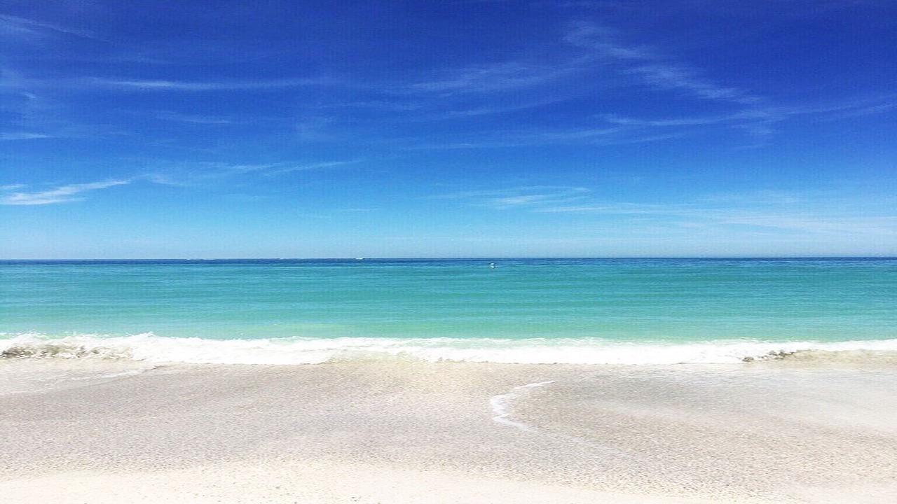 Photo of Others in Bradenton Beach
