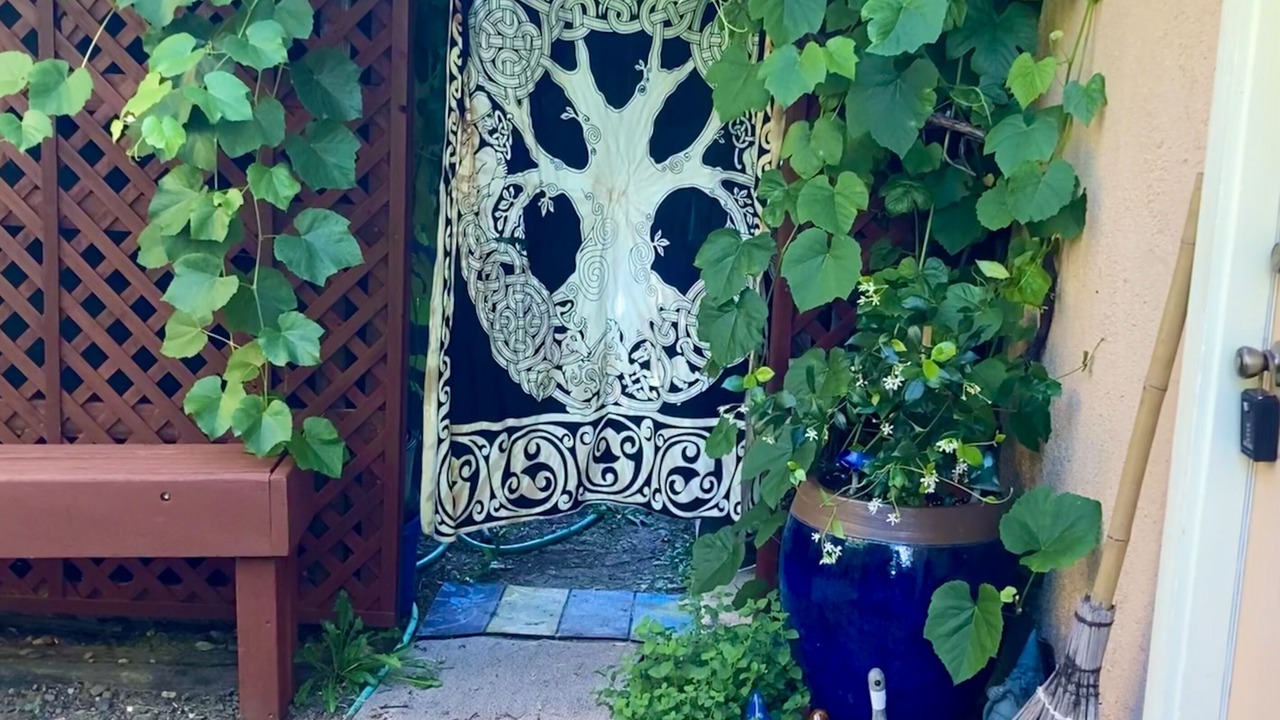 Photo of Others in Willits
