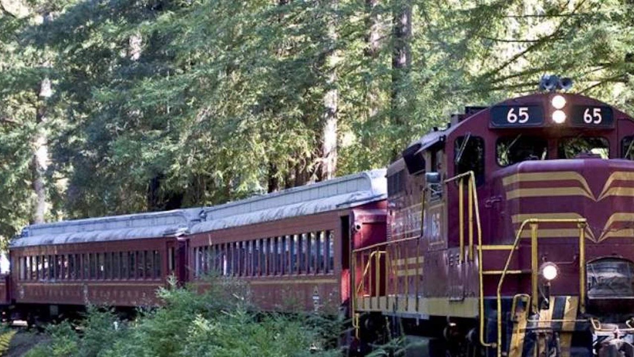 Photo of Others in Willits