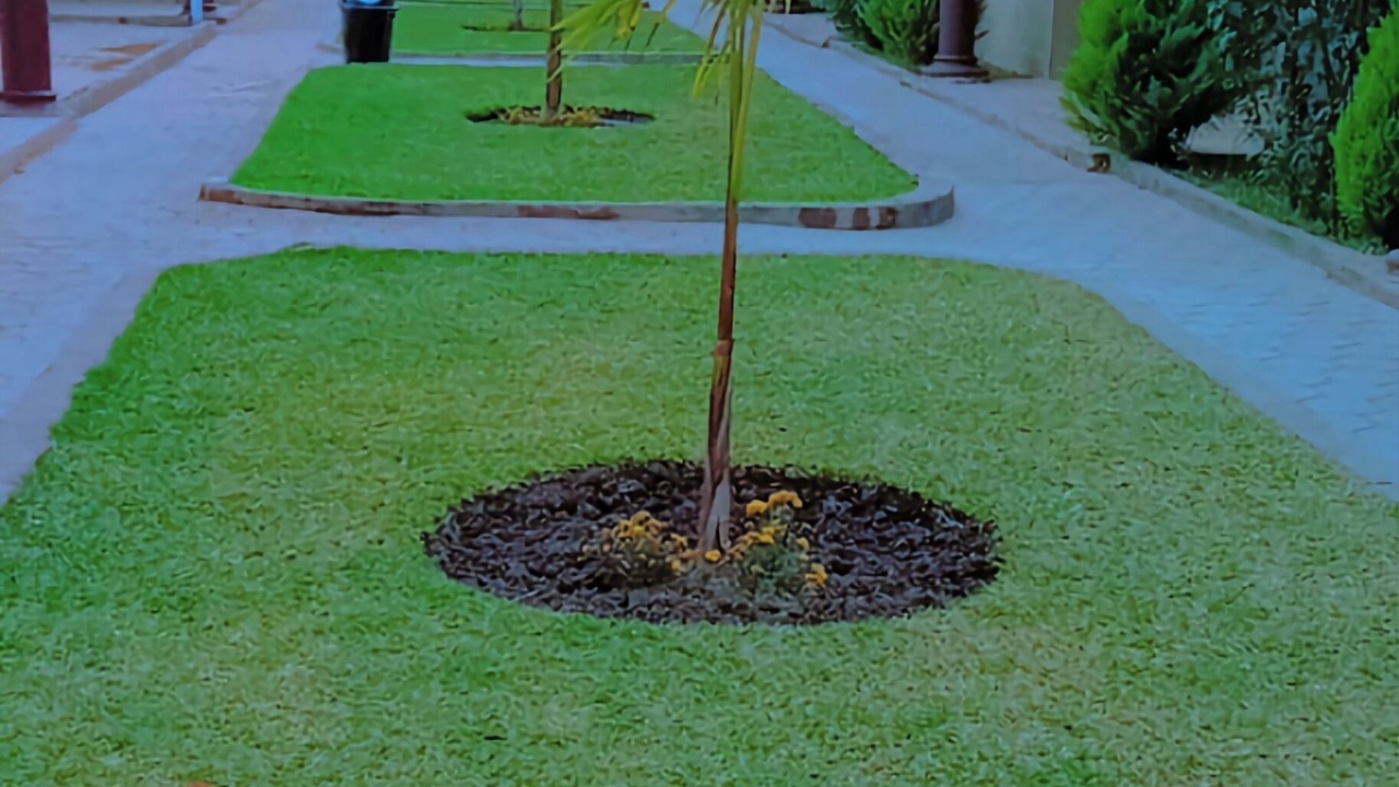 Photo of Outdoor in Chililabombwe
