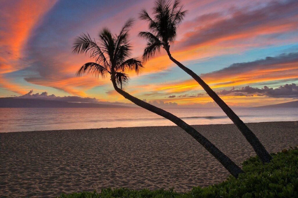 Photo of Others in Kaanapali