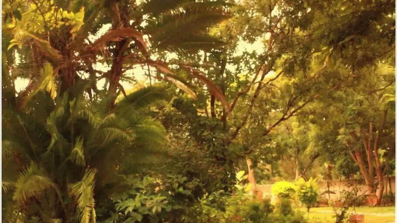 Photo of Outdoor in Chinhoyi