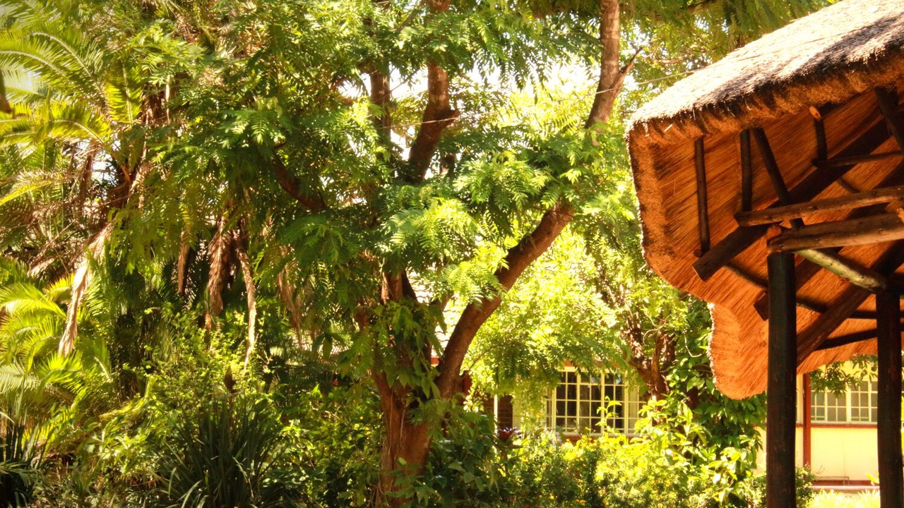 Photo of Outdoor in Chinhoyi