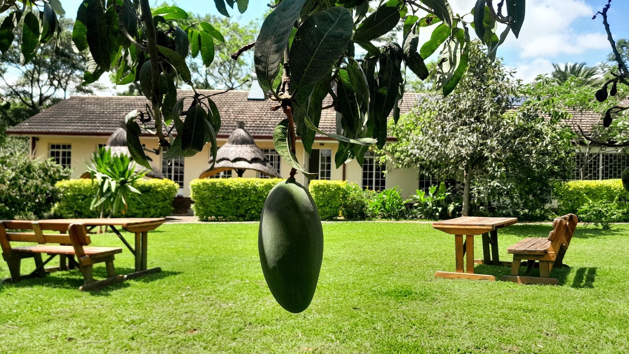 Photo of Outdoor in Chinhoyi