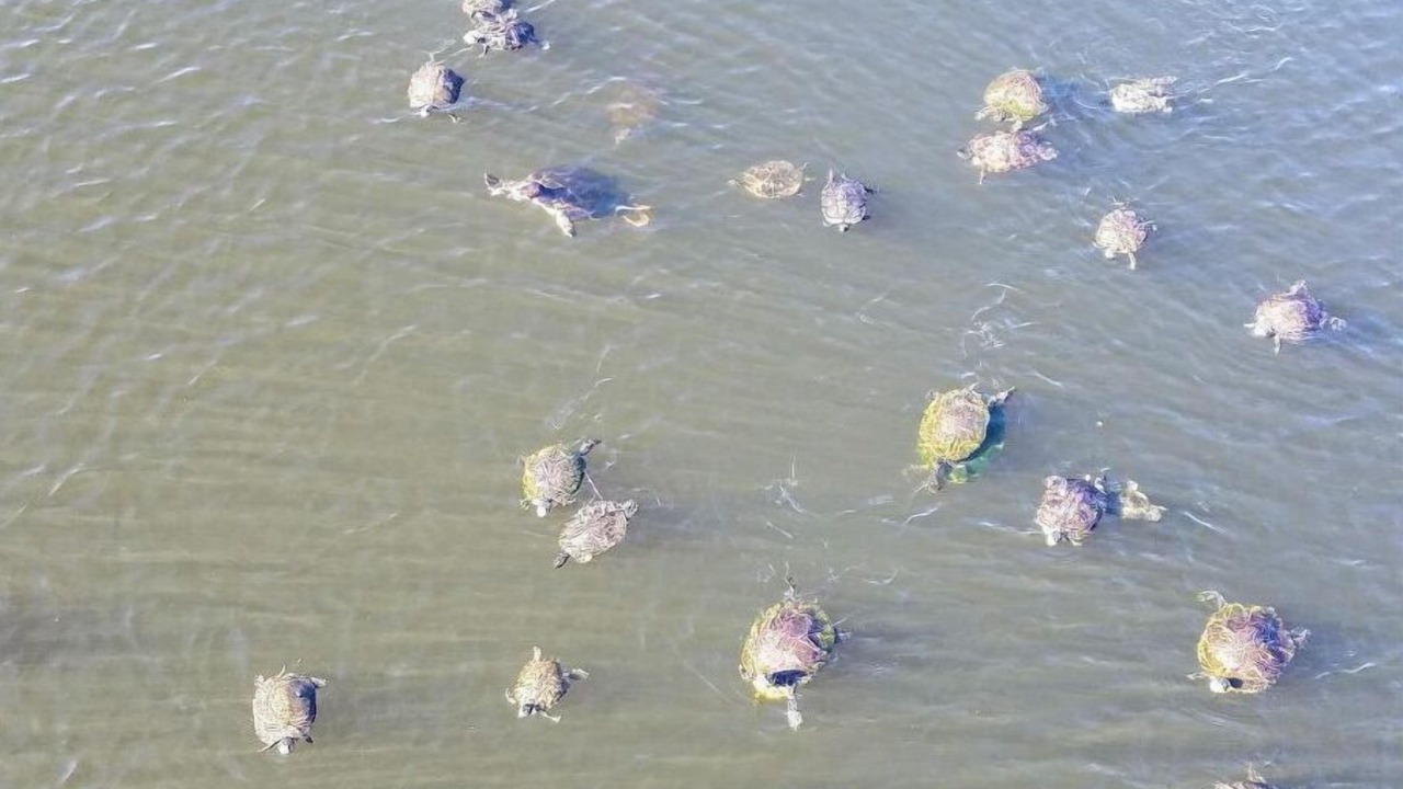 Photo of Others in Destin