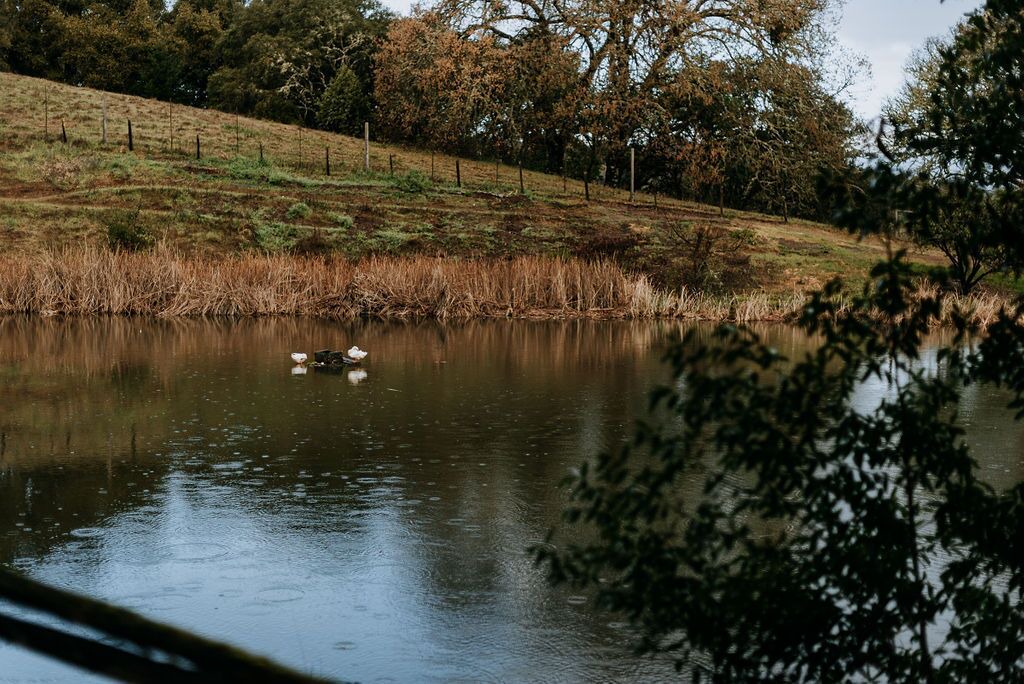 Photo of Outdoor in California Wine Country