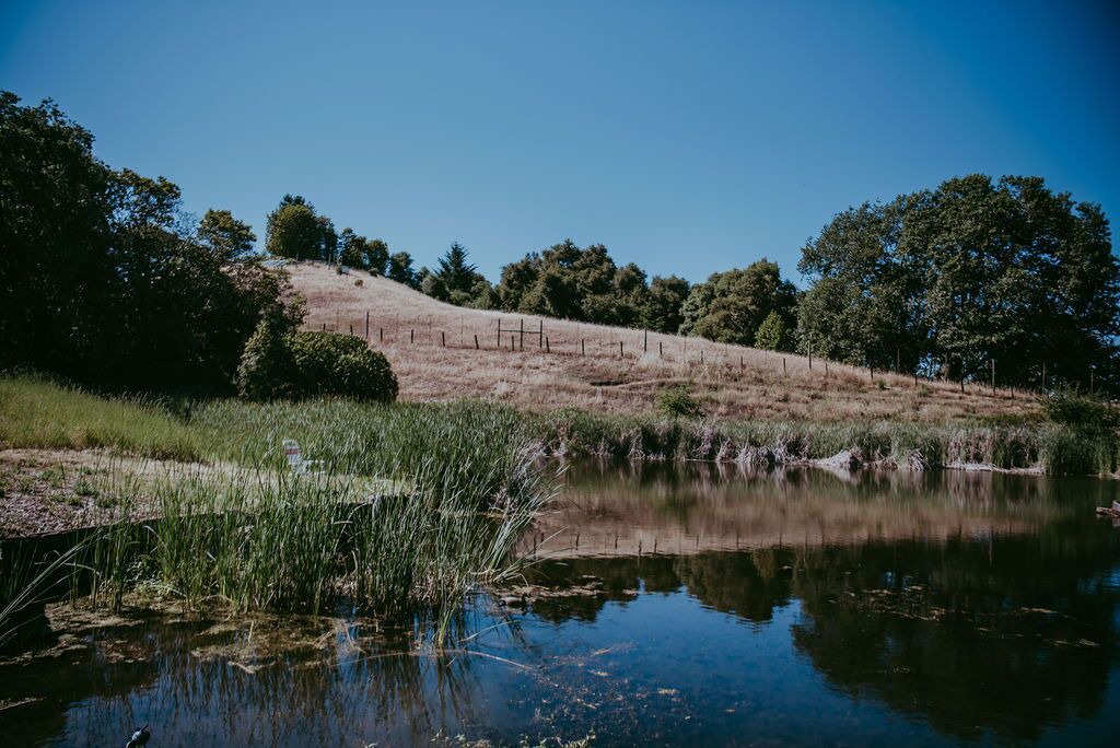 Photo of Others in California Wine Country