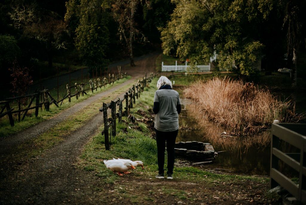 Photo of Outdoor in California Wine Country