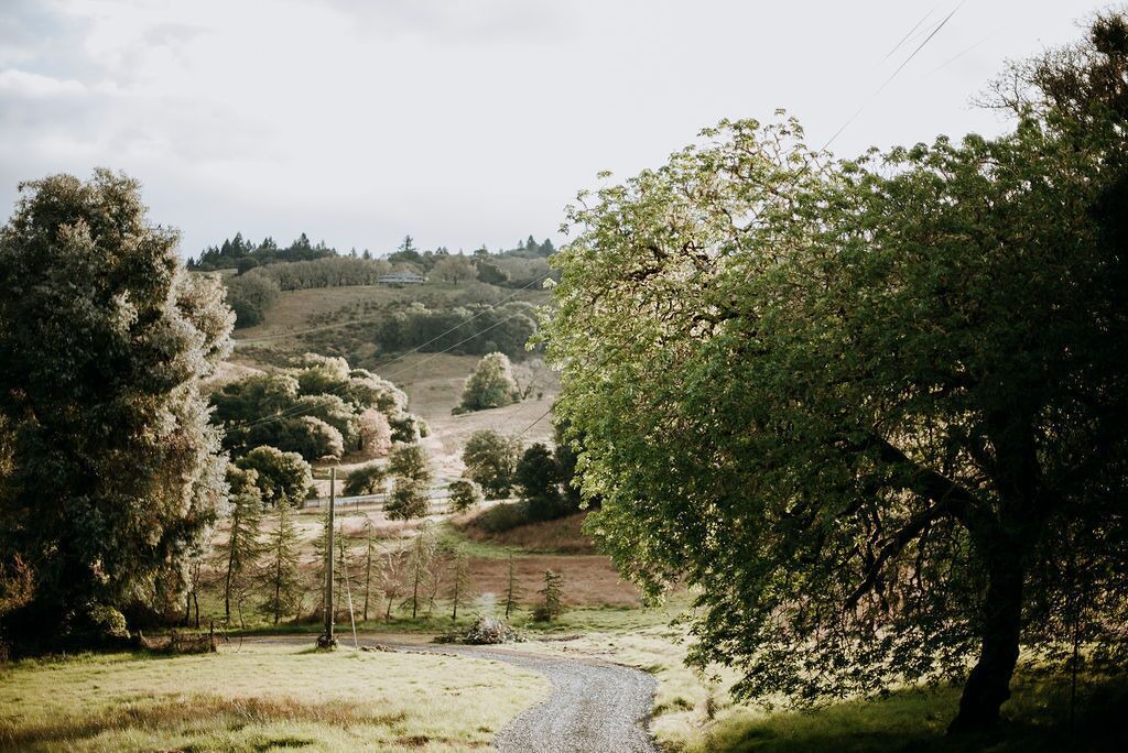 Photo of Outdoor in California Wine Country