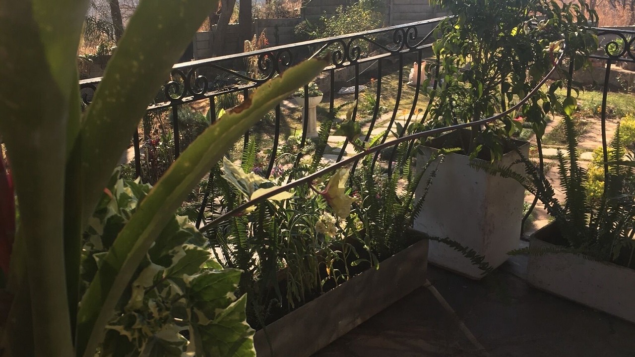 Photo of Outdoor in Harare