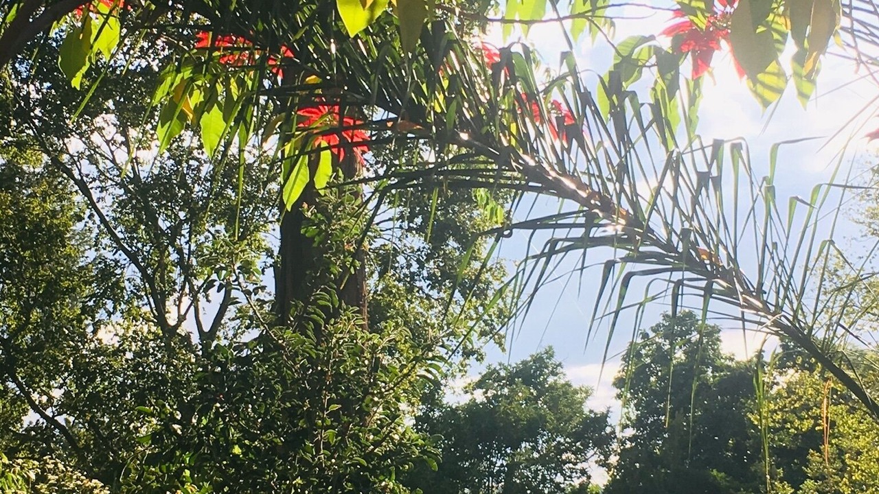 Photo of Outdoor in Harare