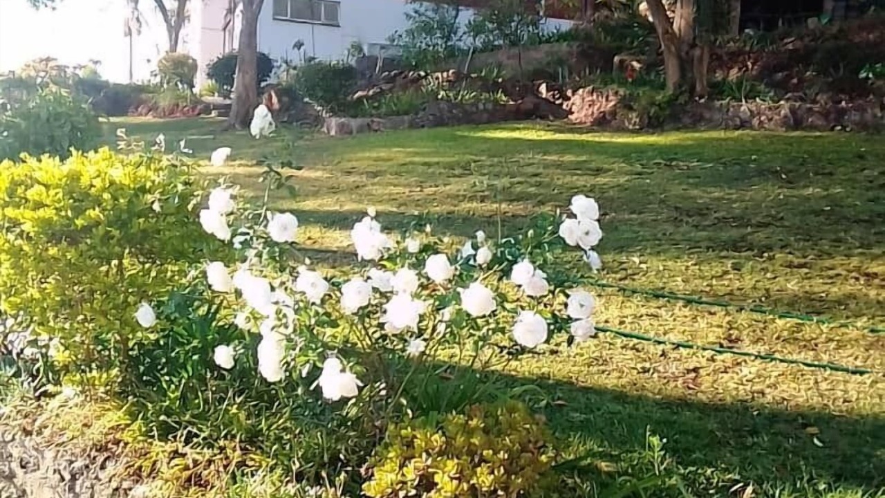 Photo of Outdoor in Harare