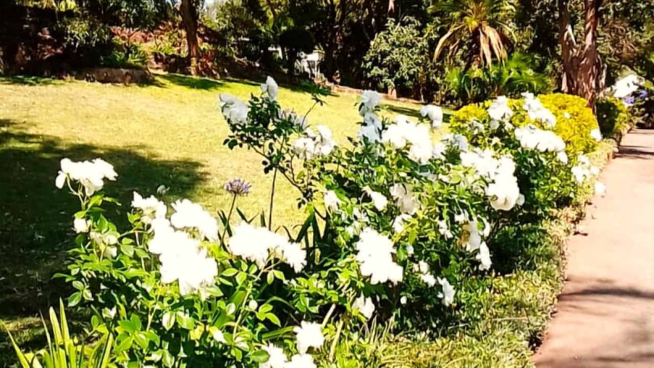Photo of Outdoor in Harare