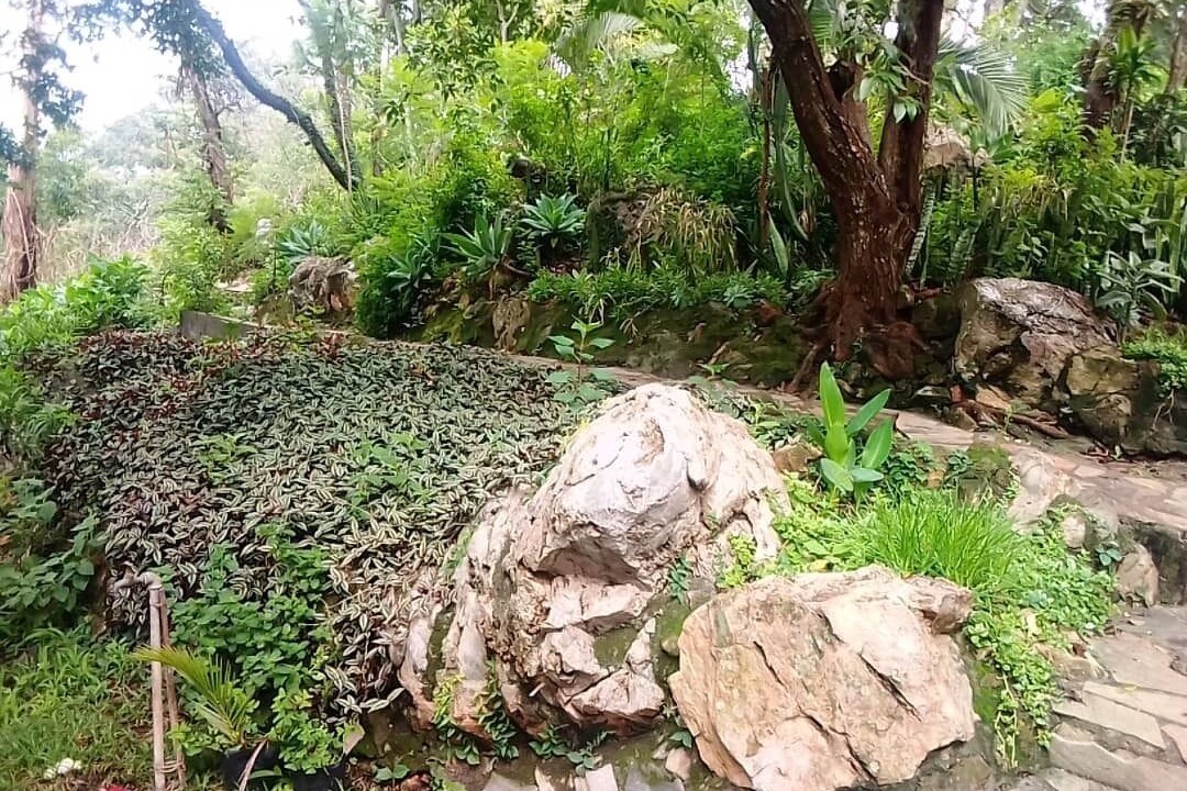 Photo of Outdoor in Harare