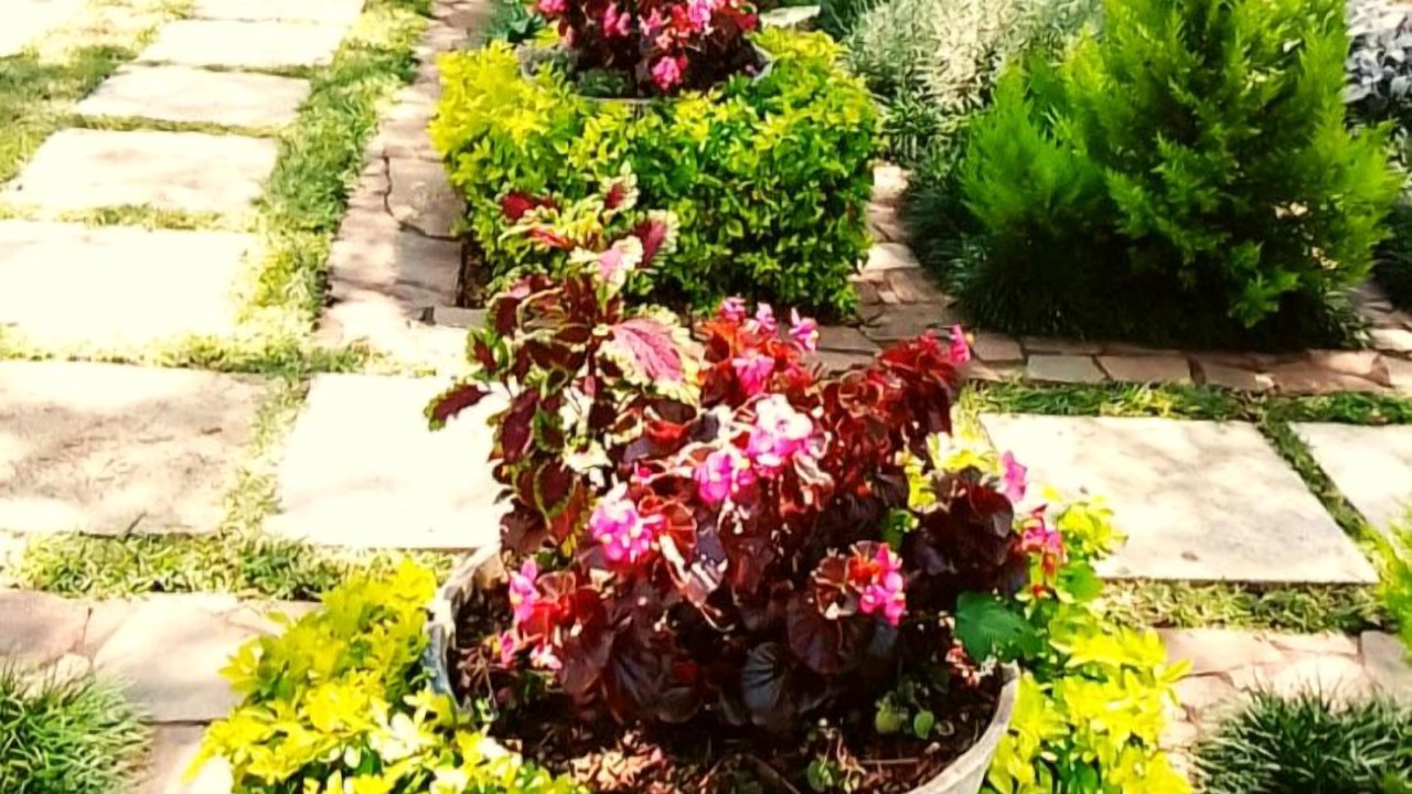 Photo of Outdoor in Harare