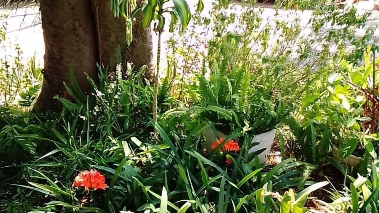 Photo of Outdoor in Harare