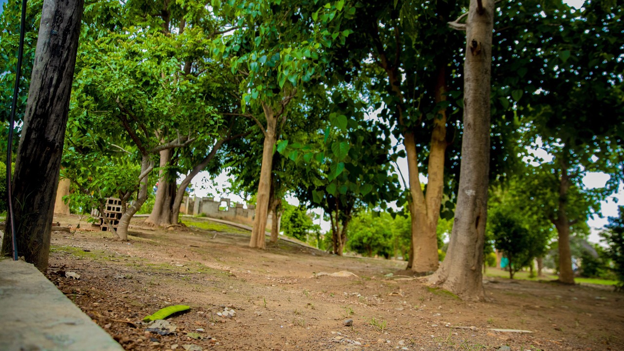 Photo of Outdoor in Lusaka