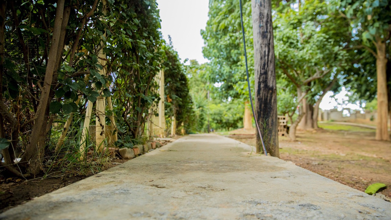 Photo of Outdoor in Lusaka