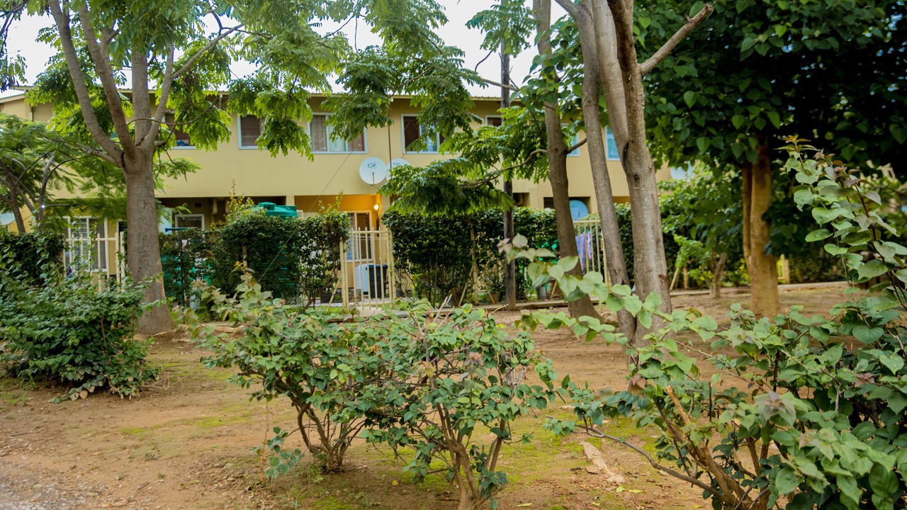 Photo of Outdoor in Lusaka