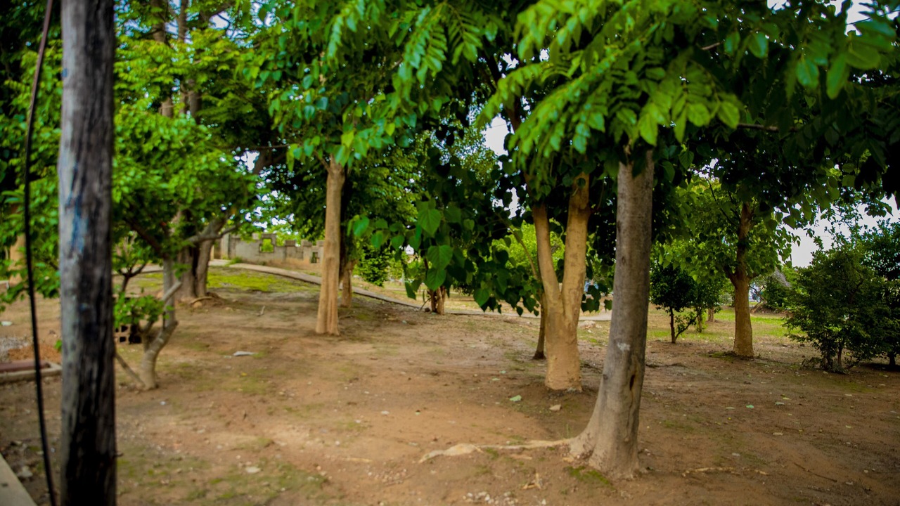 Photo of Outdoor in Lusaka