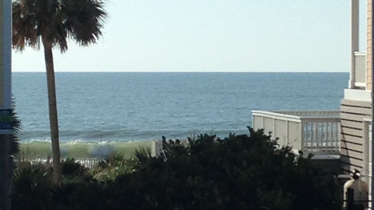 Photo of Others in Murrells Inlet