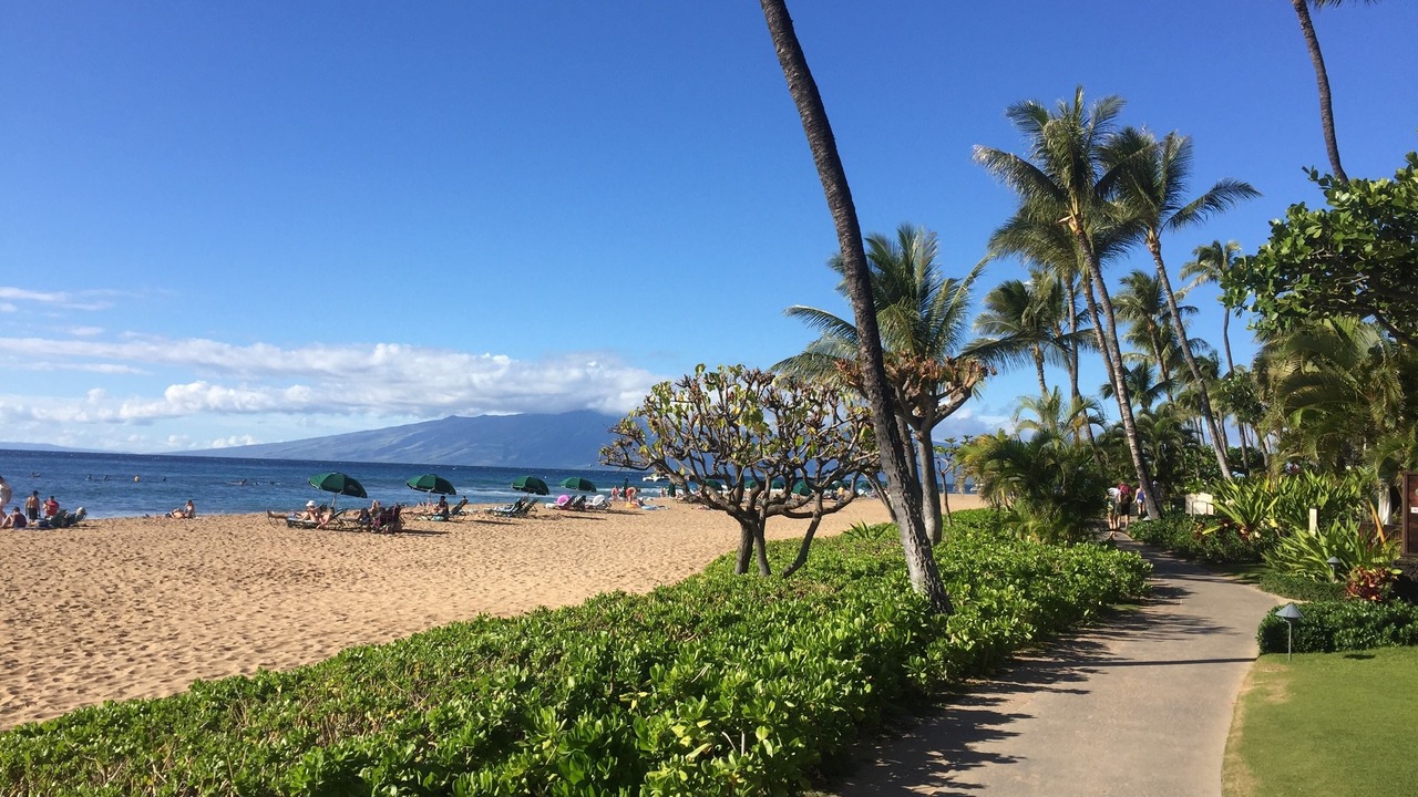 Photo of Others in Kaanapali