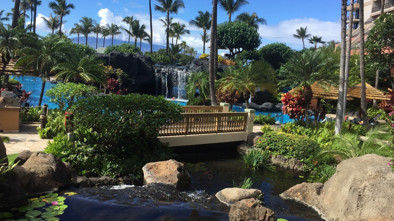 Photo of Outdoor in Kaanapali