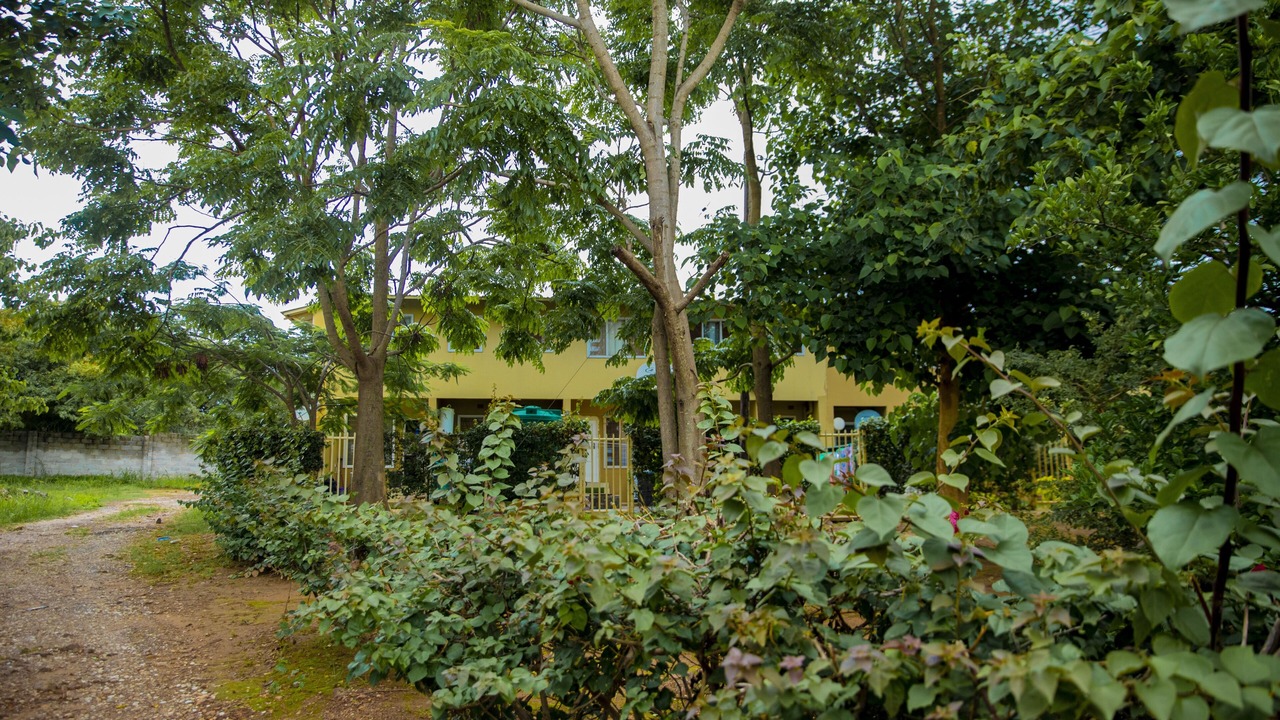 Photo of Outdoor in Lusaka