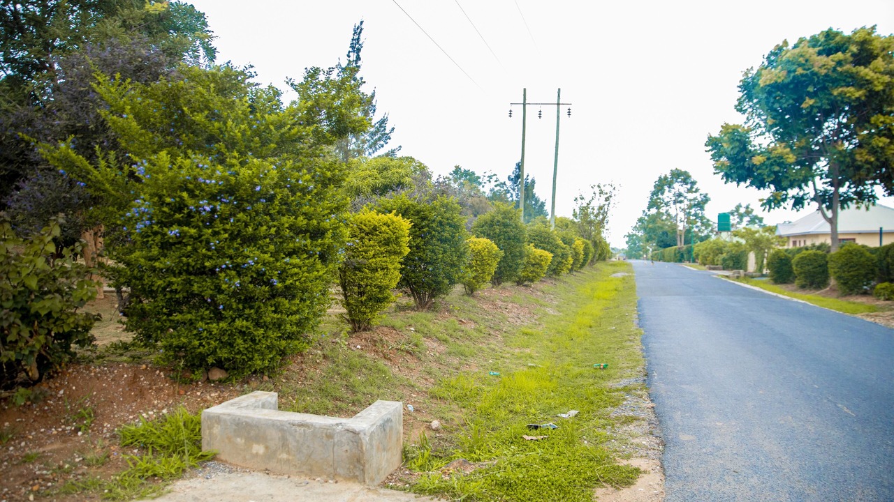 Photo of Outdoor in Lusaka