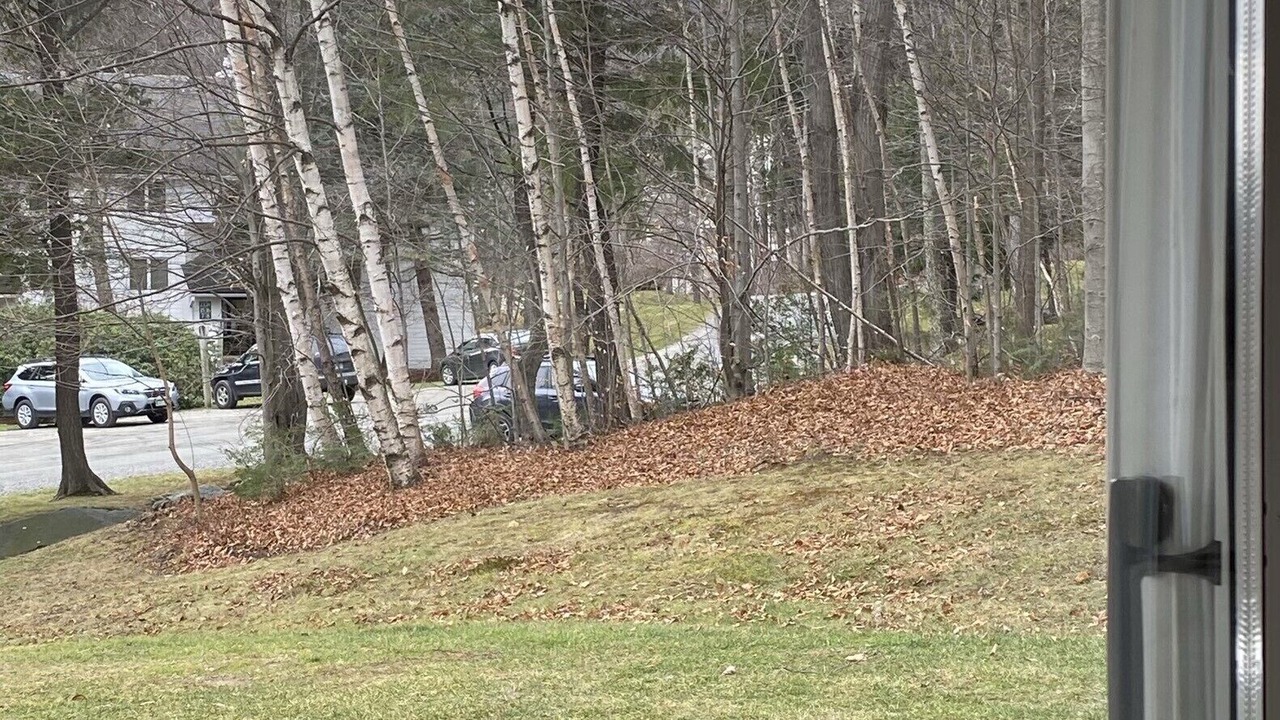 Photo of Others in Warren