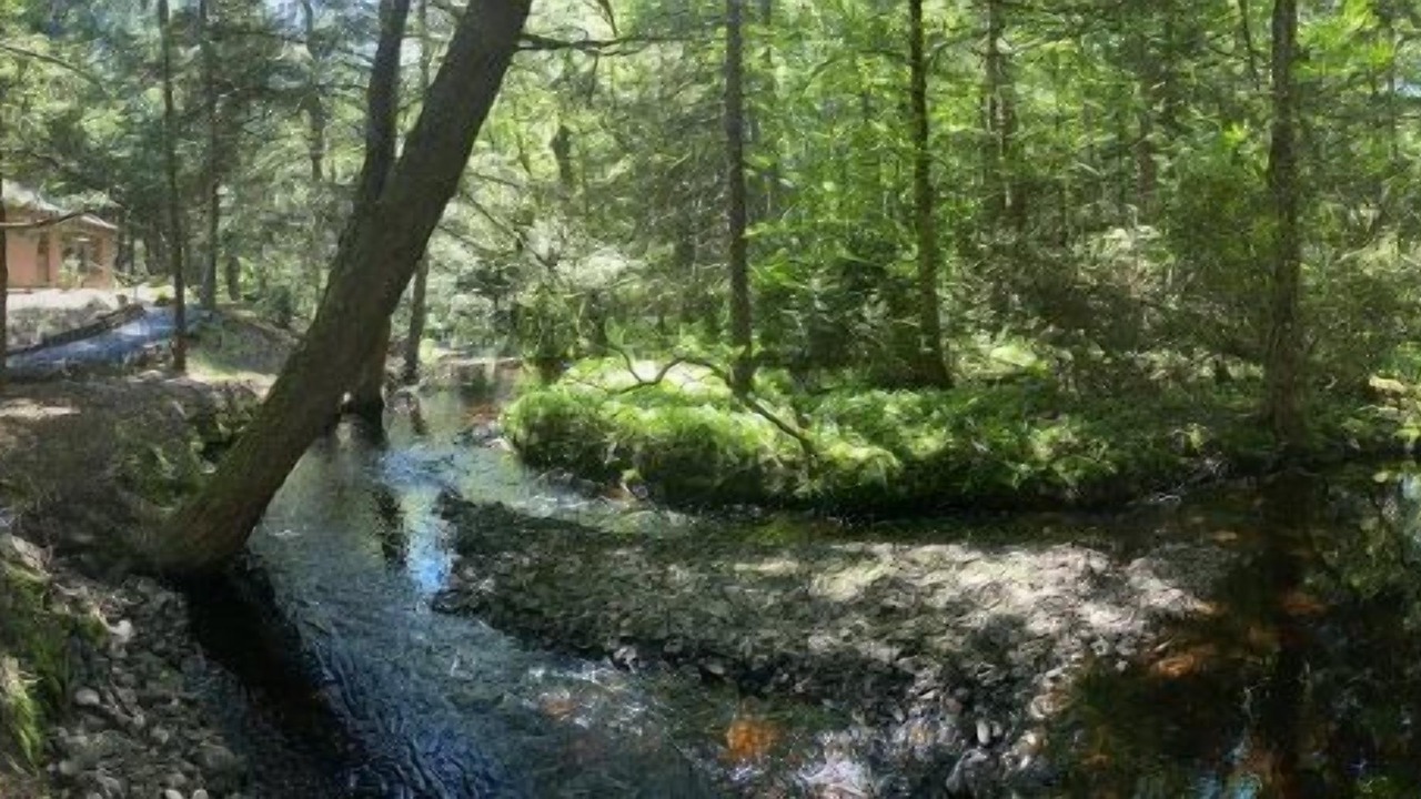 Photo of Outdoor in Pocono Lake