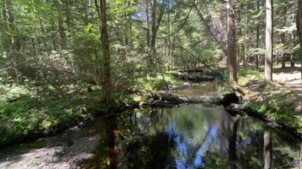 Photo of Outdoor in Pocono Lake