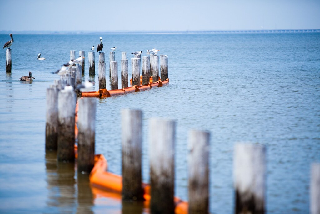 Photo of Others in Gulf Shores