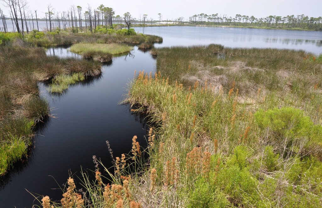 Photo of Outdoor in Gulf Shores