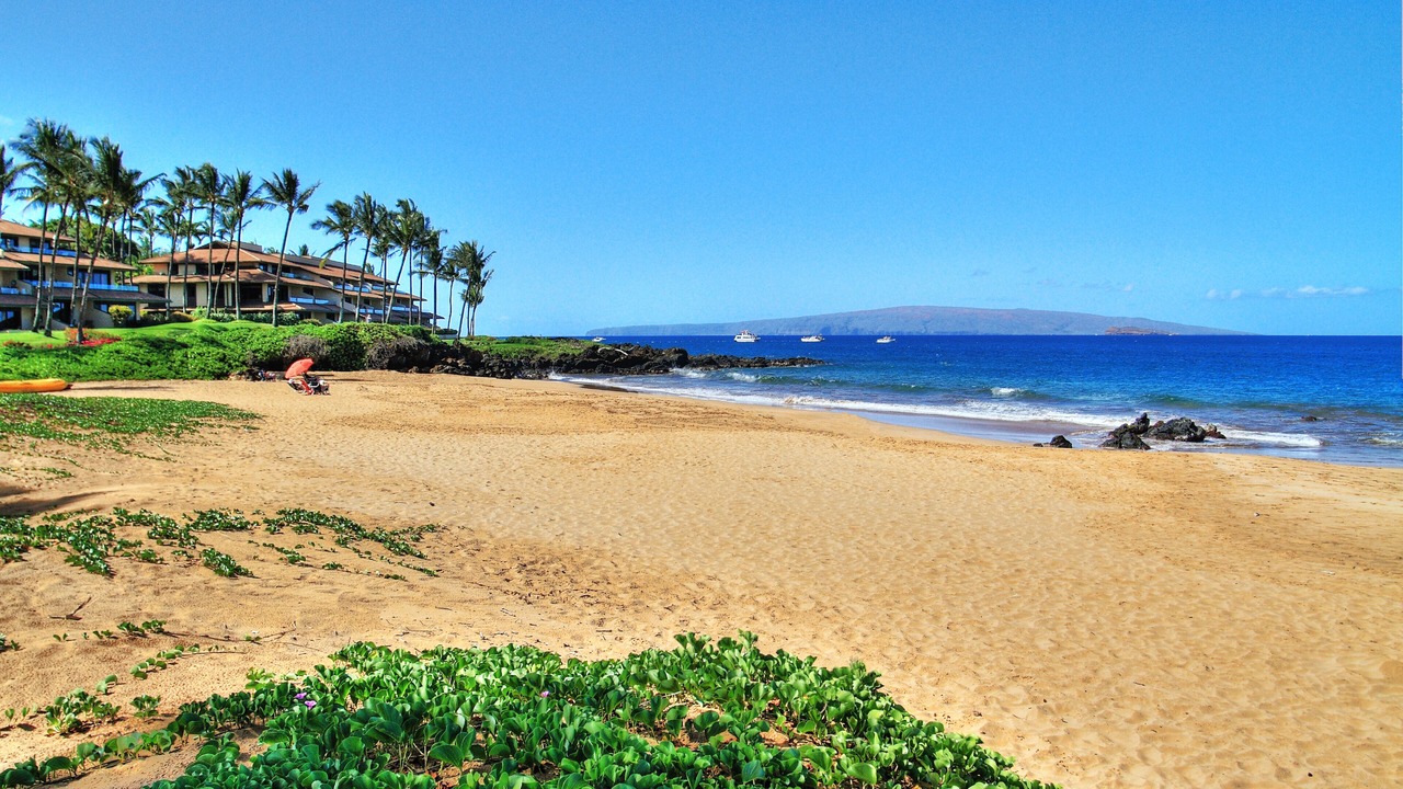 Photo of Others in Wailea