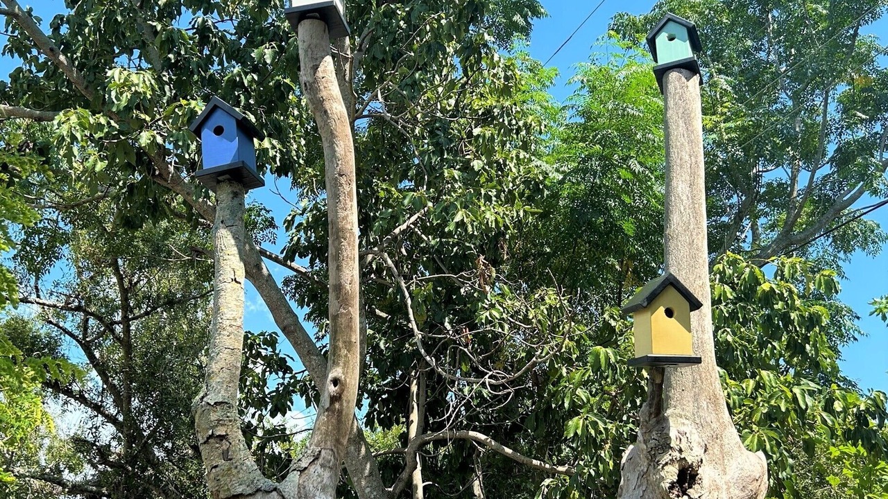 Photo of Others in Alta Vista