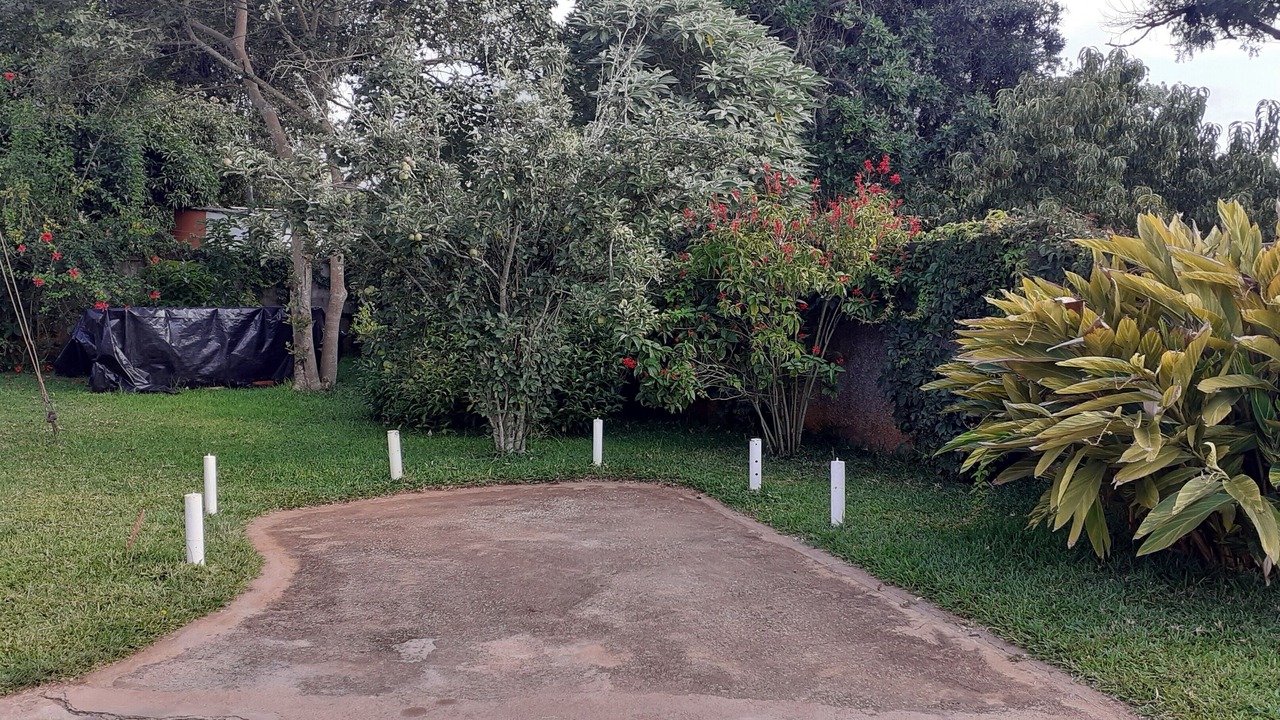 Photo of Others in Harare