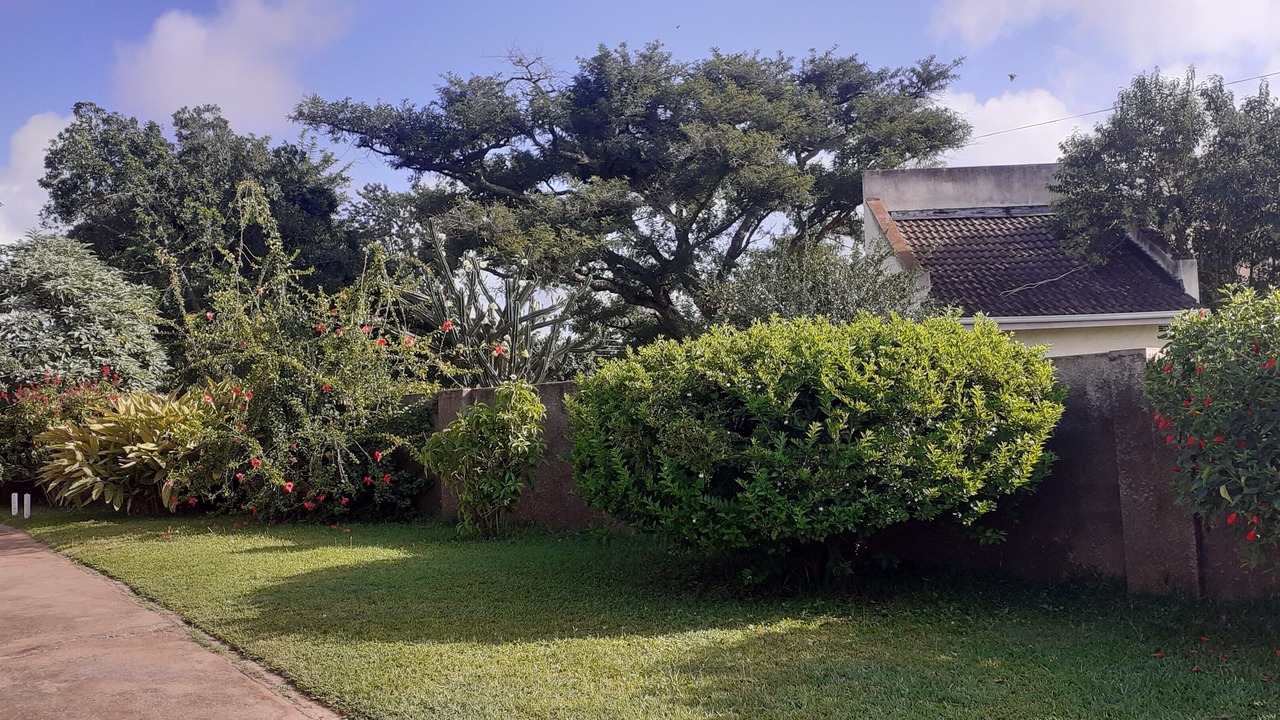 Photo of Others in Harare