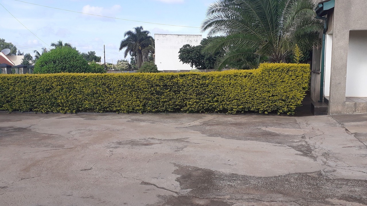 Photo of Others in Harare