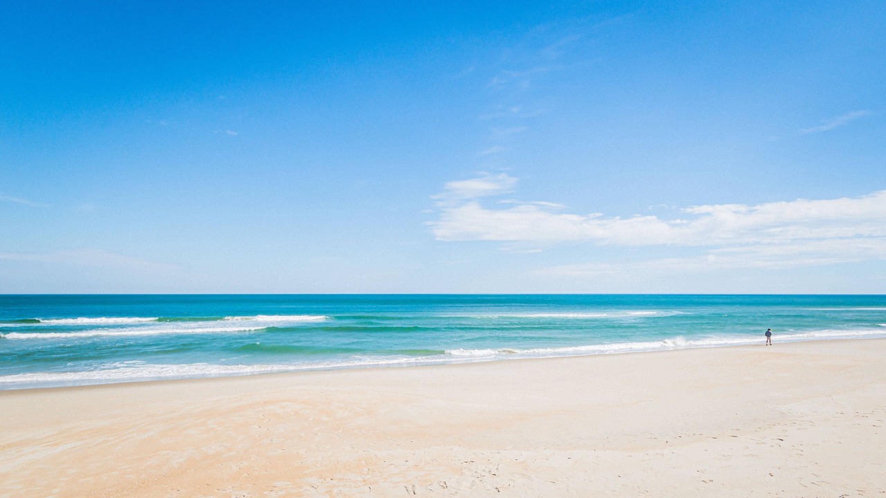 Photo of Others in Carolina Dunes