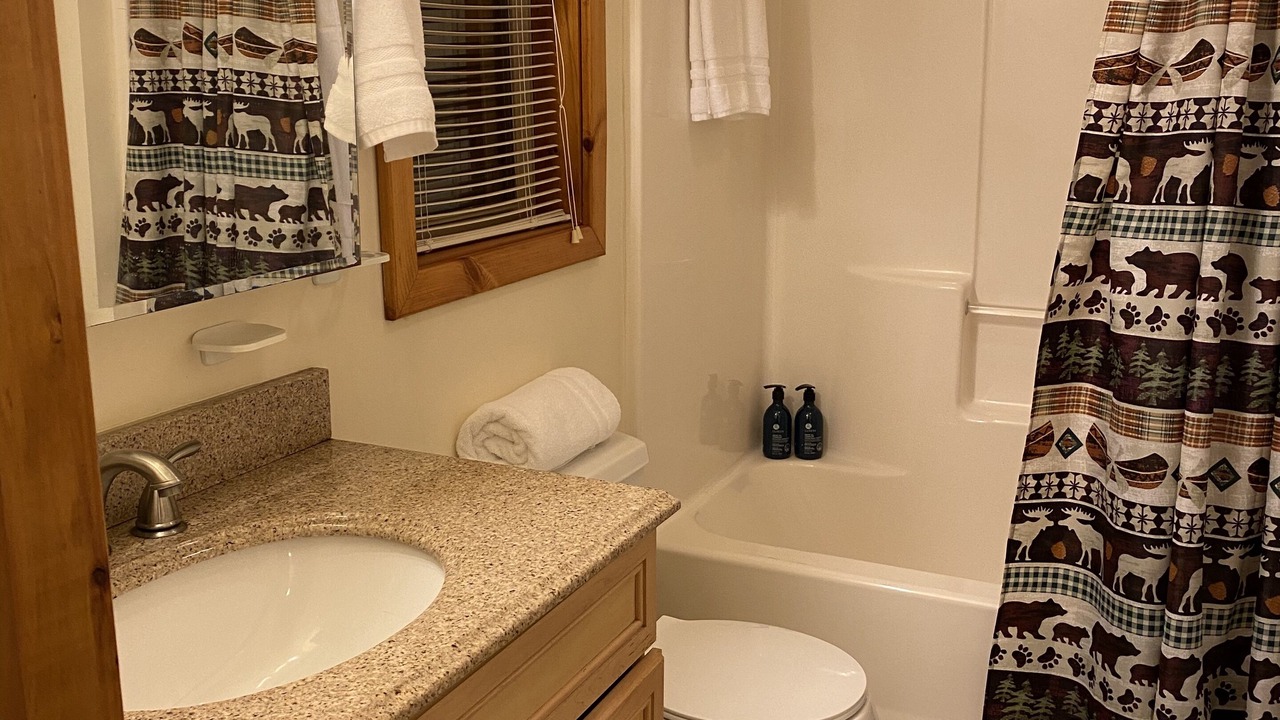 Photo of Bathroom in Chestertown