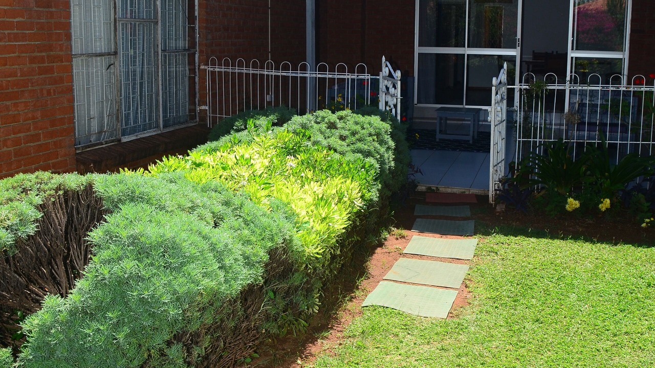 Photo of Outdoor in Bulawayo