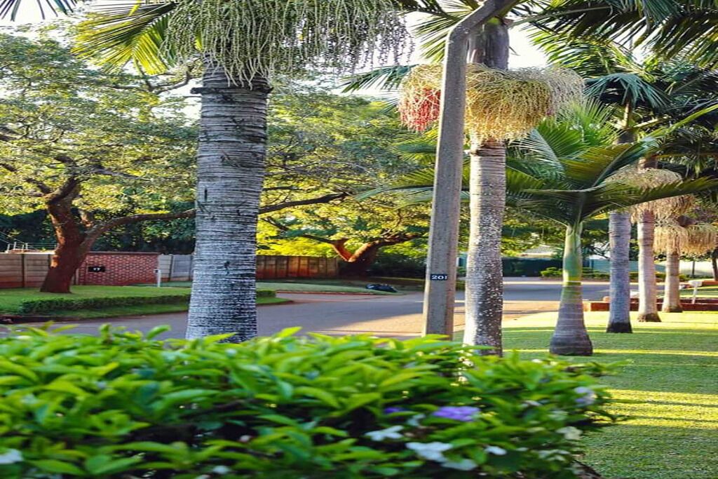 Photo of Outdoor in Harare