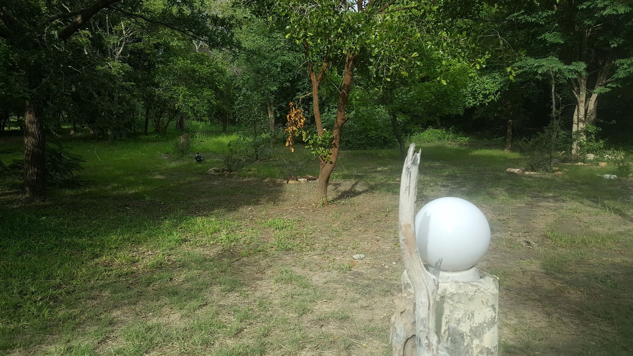 Photo of Outdoor in Chisamba