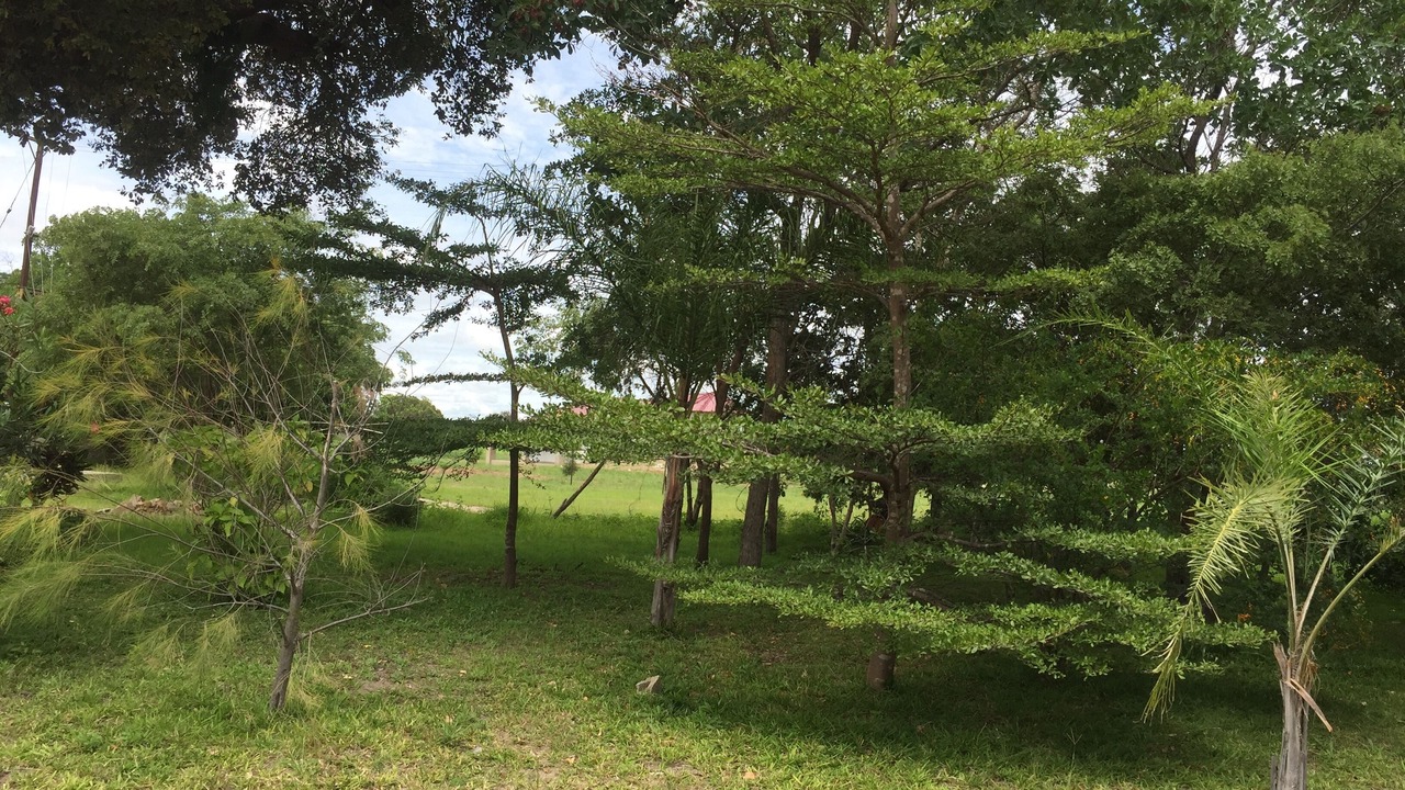 Photo of Outdoor in Chisamba